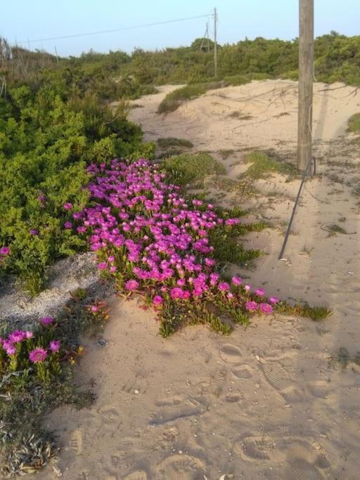 מארוג'ו Casa Sofia: Comodi E Tranquilli מראה חיצוני תמונה