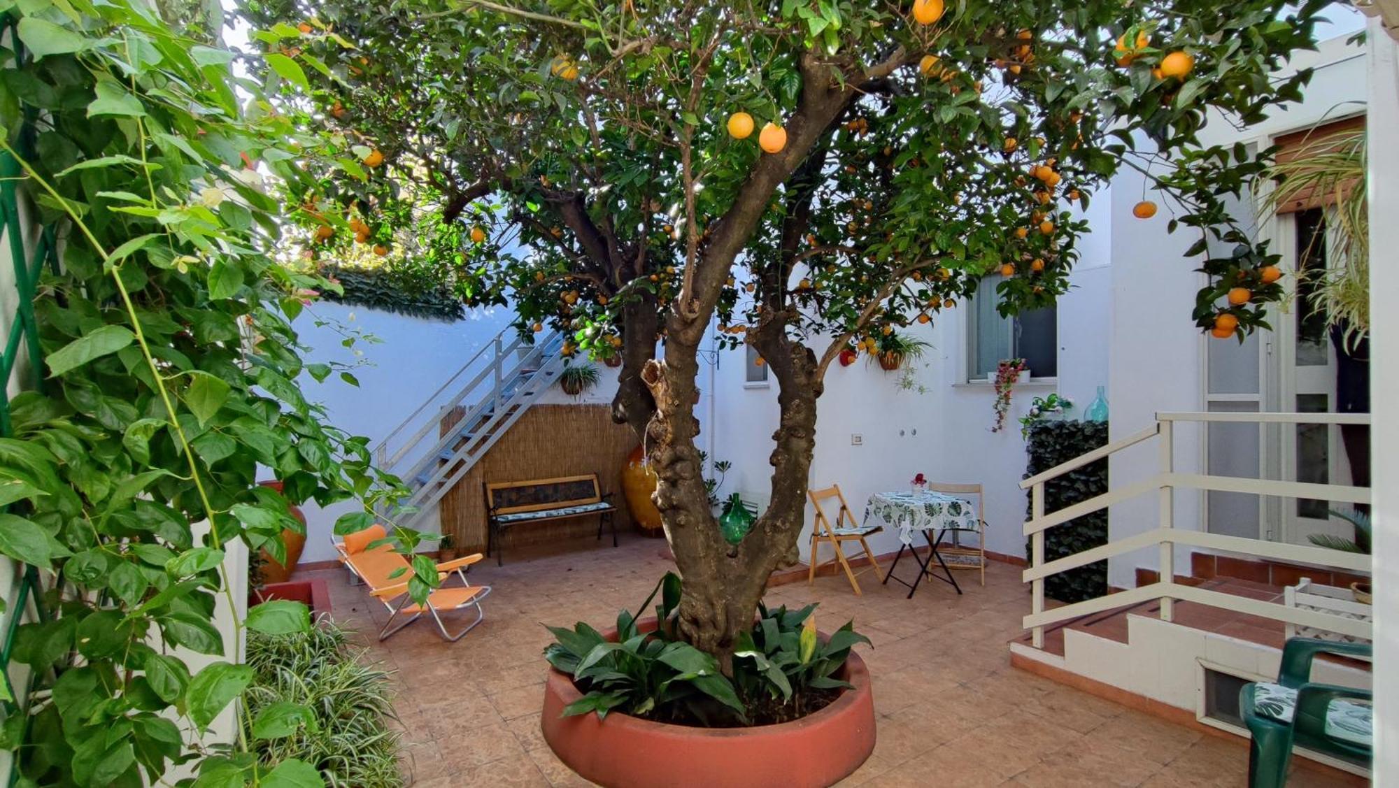 מארוג'ו Casa Sofia: Comodi E Tranquilli מראה חיצוני תמונה